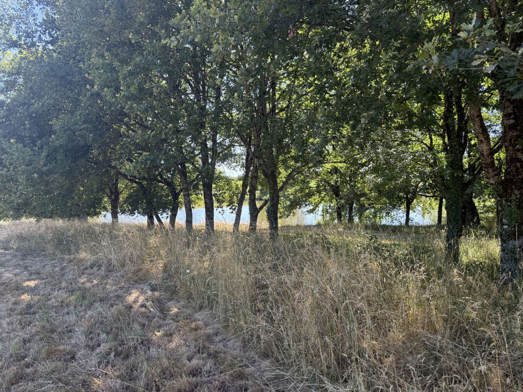 Parcelle de 8ha avec etang - photo 8