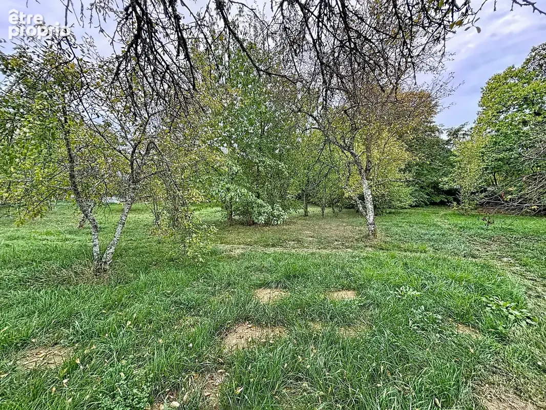 Maison 6 pièces 177 m² à vendre à Oiselay-Et-Grachaux (70700) - photo 6