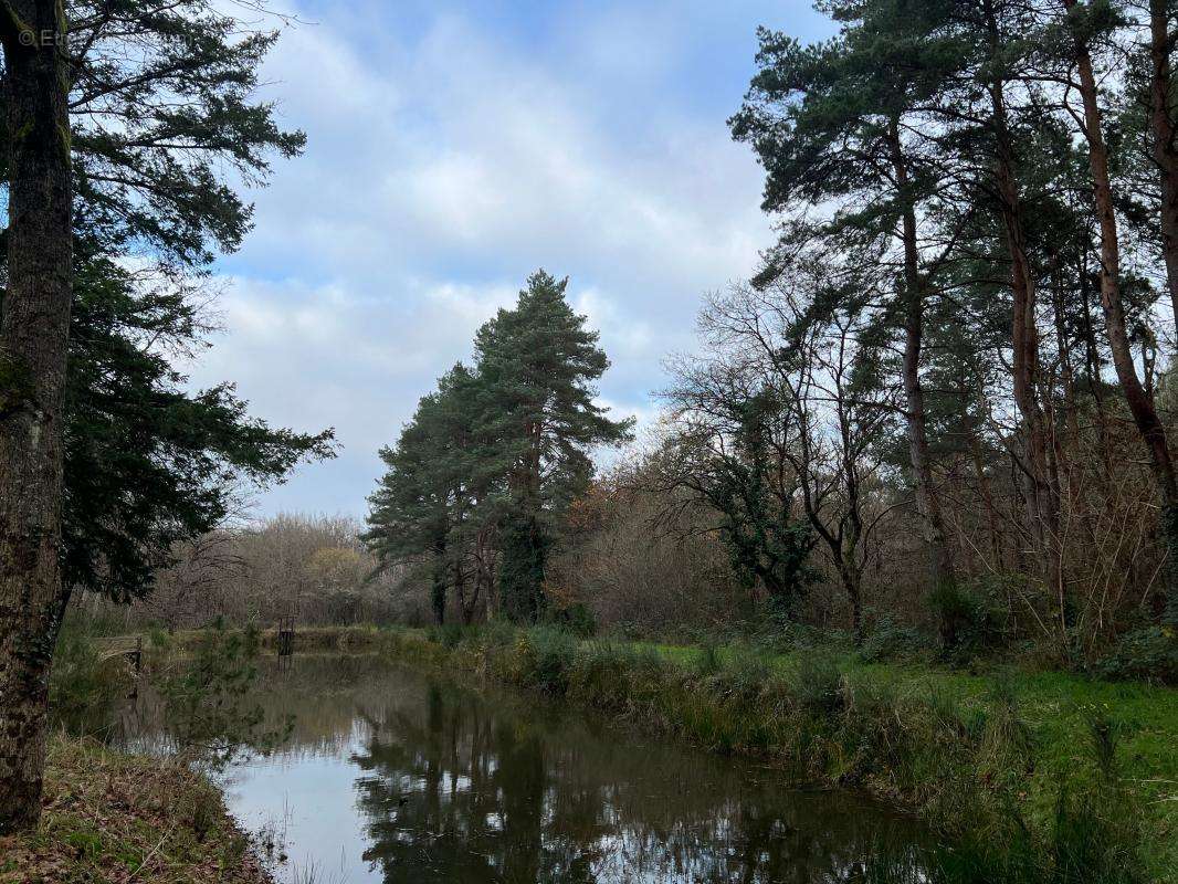 Terrain à VILLEFRANCHE-SUR-CHER