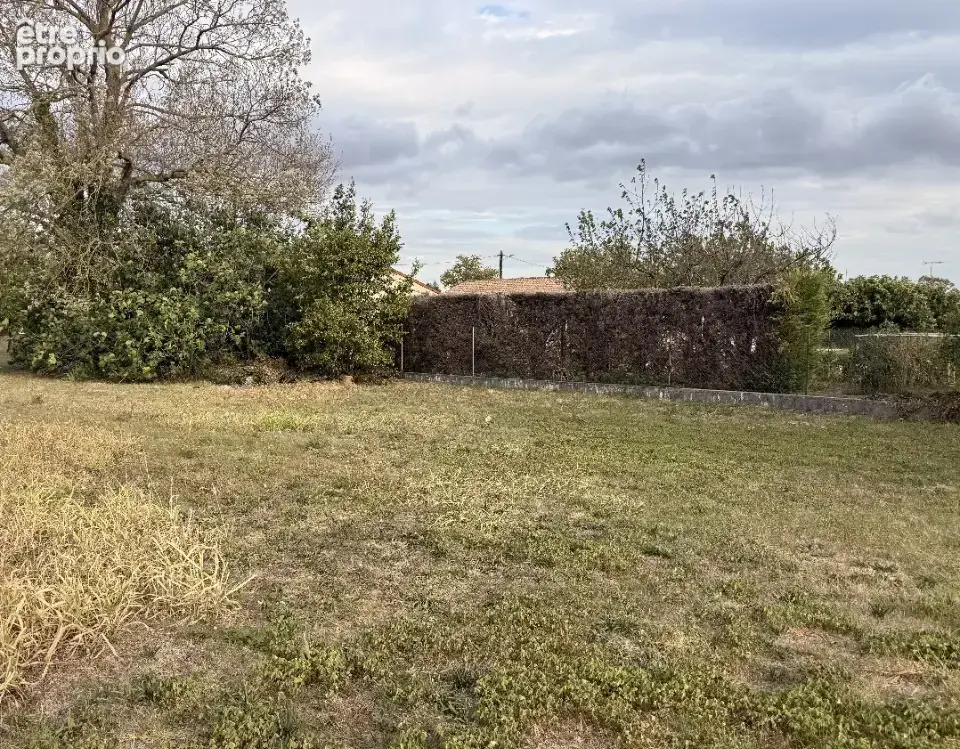 Terrain 967 m² à vendre à Revel (31250) - photo 2