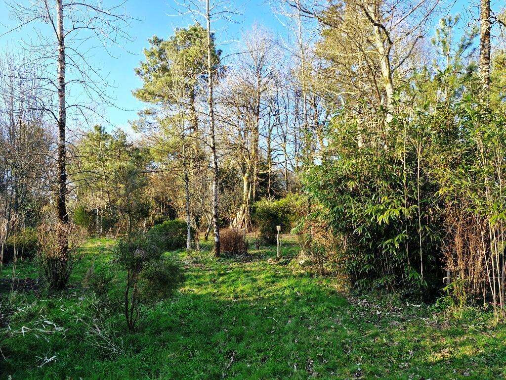 Maison à LESCOUET-GOUAREC