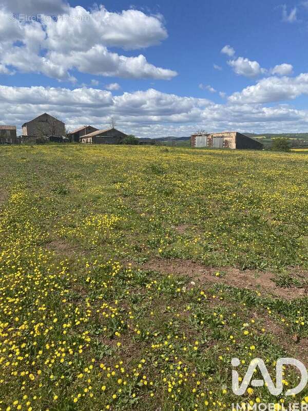 Photo 1 - Terrain à BELMONT-SUR-RANCE