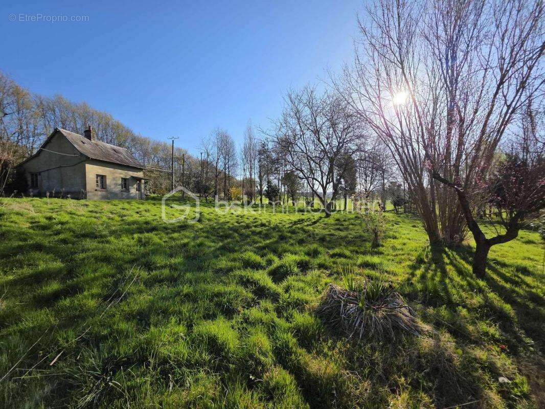 Maison à LE MERLERAULT