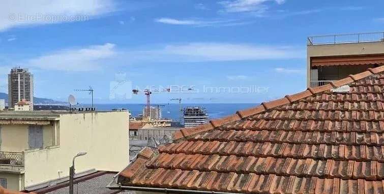 2 pieces ideal locatif dernier etage a beausoleil - photo 4