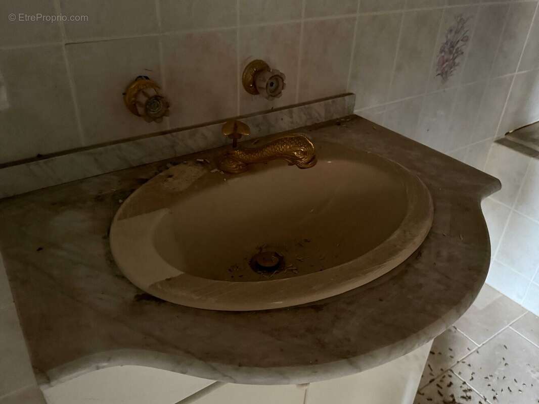 Maison à CHATEAUVILLAIN