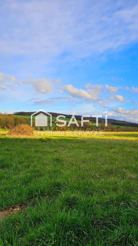 Terrain 1573 m² à Coussay-Les-Bois  - photo 3