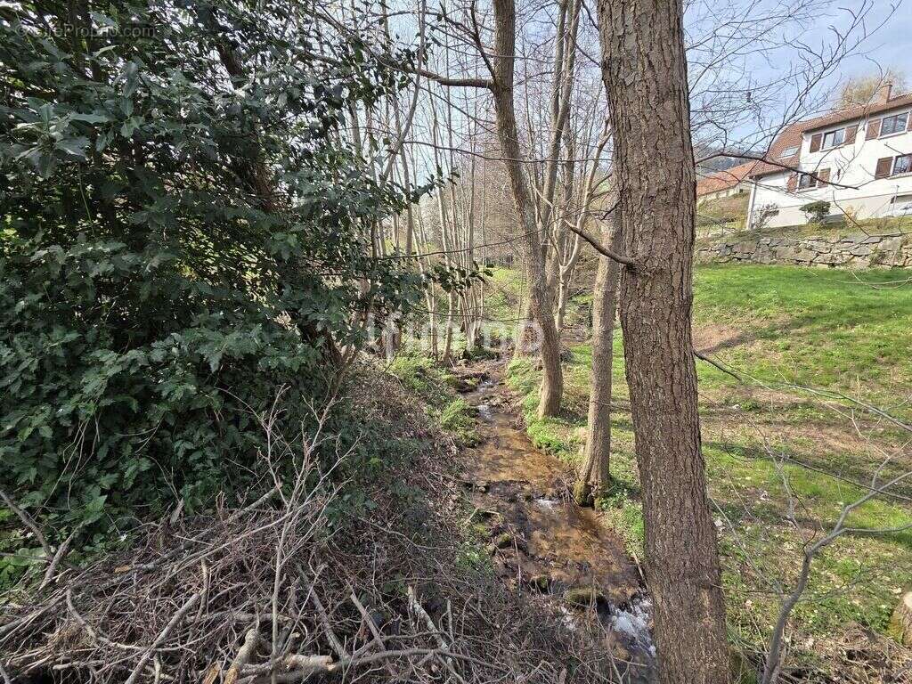 Terrain à LAPOUTROIE