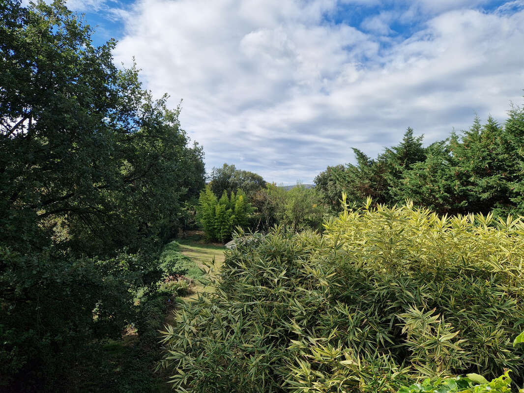 Maison à SAINT-JEAN-DU-PIN