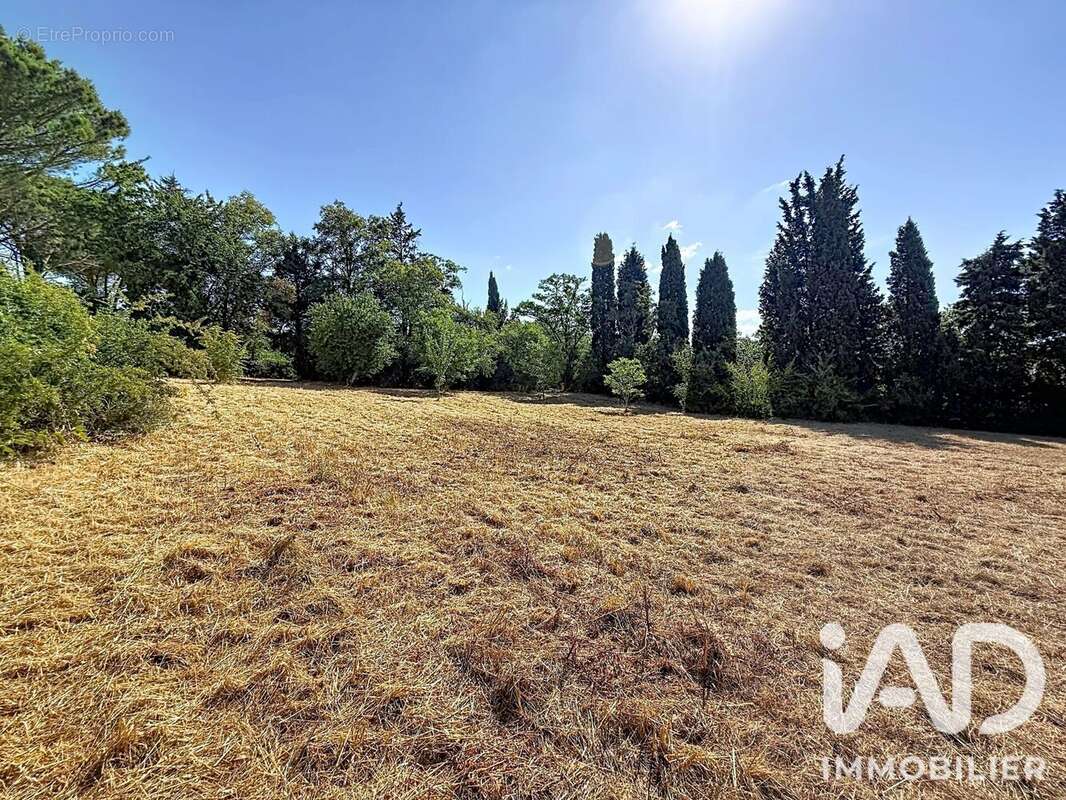 Terrain 1164 m² à Villepinte  - photo 6