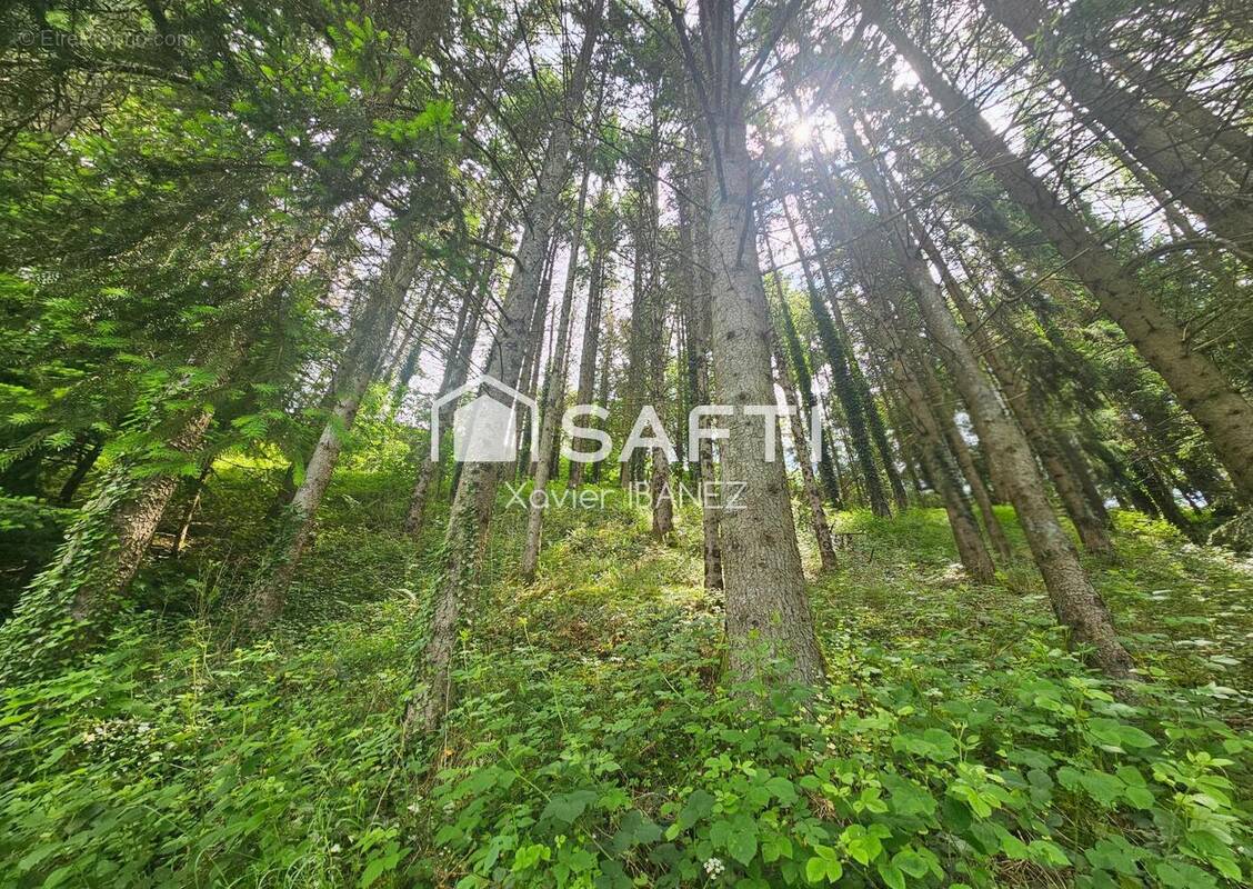 Photo 1 - Terrain à CHAUDES-AIGUES