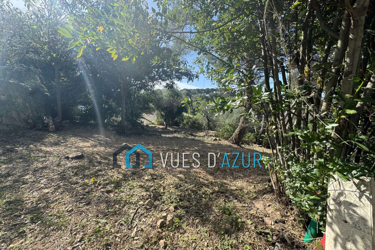 Terrain à VALLAURIS