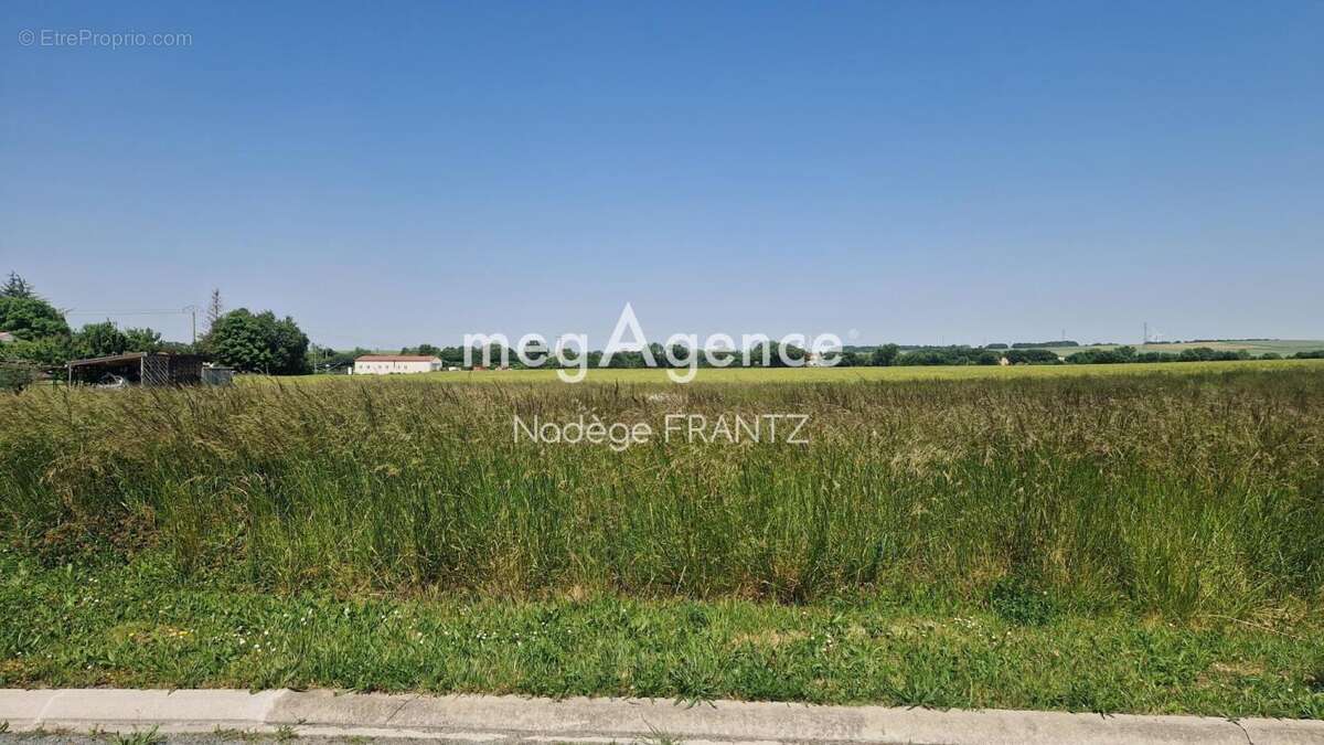 Terrain à LANDES
