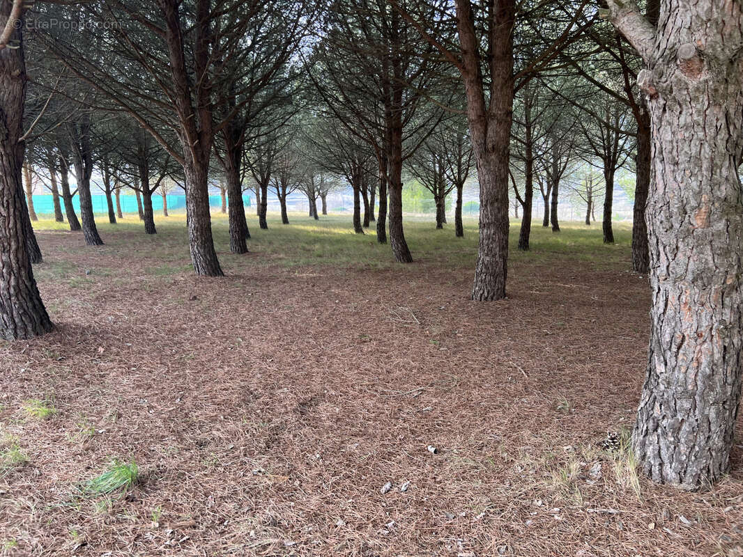 Terrain à PEYRIAC-MINERVOIS