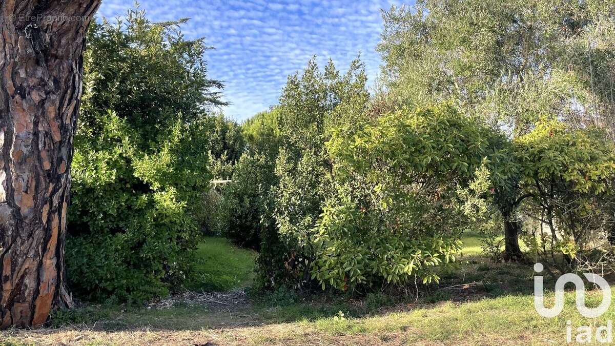 Photo 8 - Maison à LE BOIS-PLAGE-EN-RE