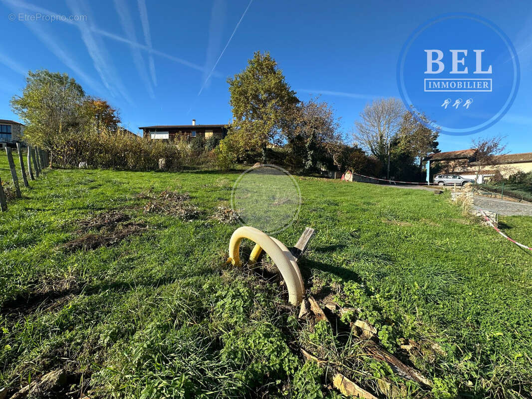 Terrain à SAINT-SYMPHORIEN-SUR-COISE
