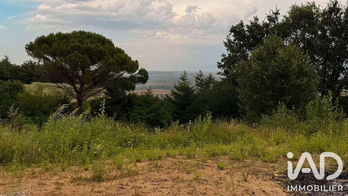 Terrain 1480 m² à Saint-Georges-Les-Bains  - photo 6