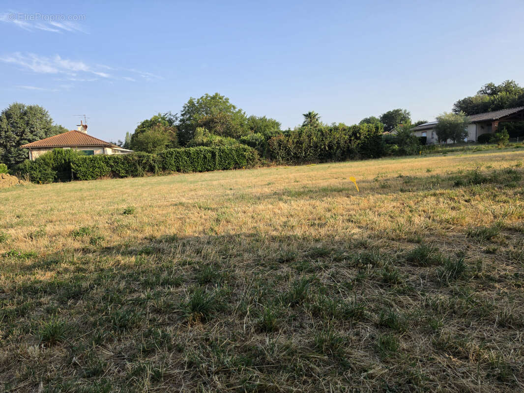 Nouveau lotissement 5 lots Labège village - photo 3