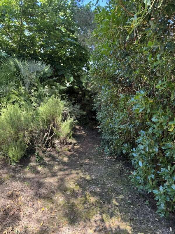 Maison à NOIRMOUTIER-EN-L'ILE