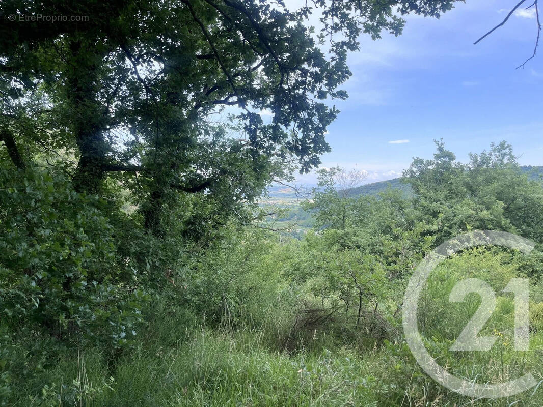 Terrain à SAINT-DESIRAT