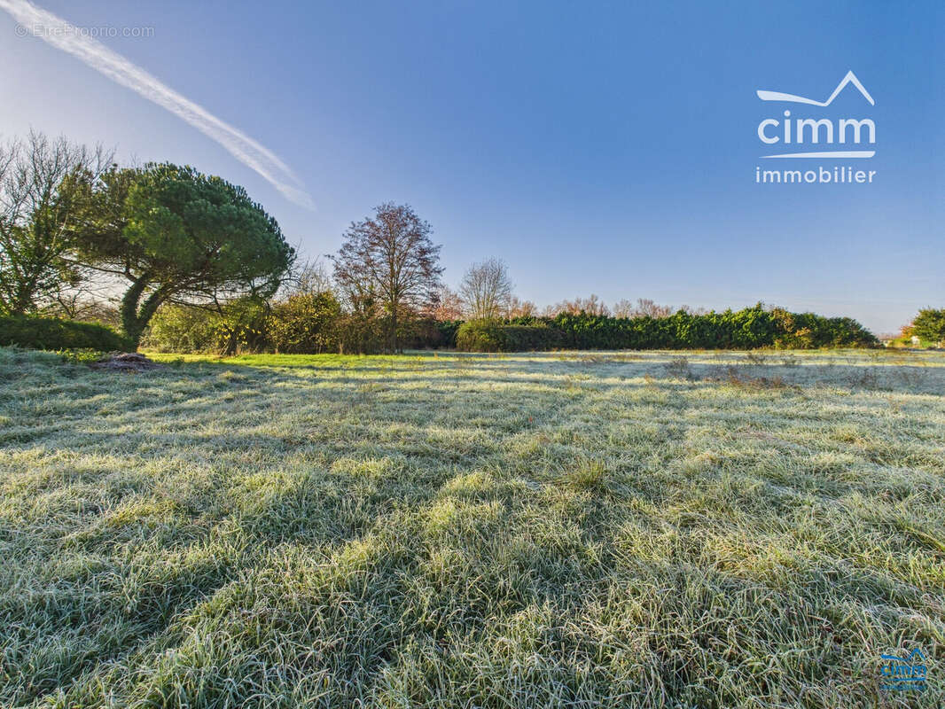 Terrain à LONGUE-JUMELLES