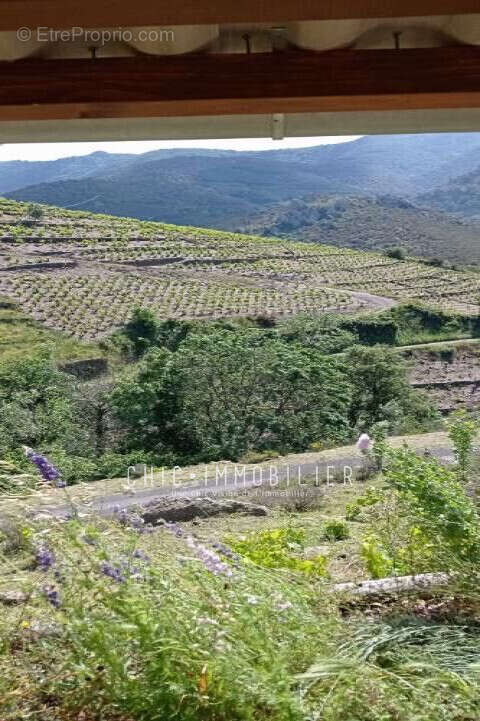 Terrain à COLLIOURE