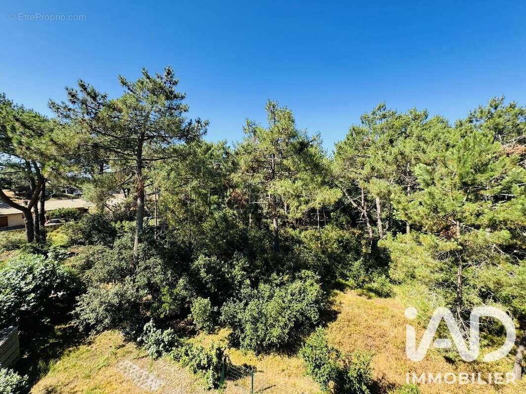 Photo 5 - Appartement à LE VERDON-SUR-MER
