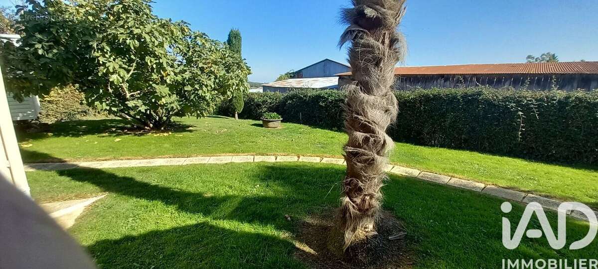 Photo 5 - Maison à CHANTONNAY