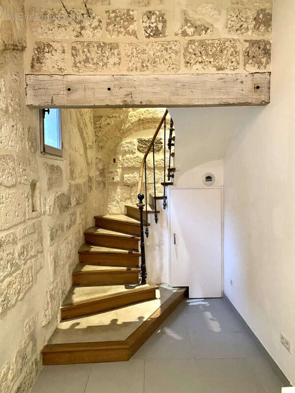 AVIGNON intra muros Duplex lumineux - photo 4