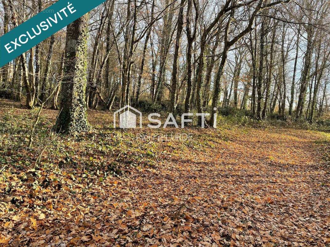 Photo 2 - Terrain à MONTAUBAN