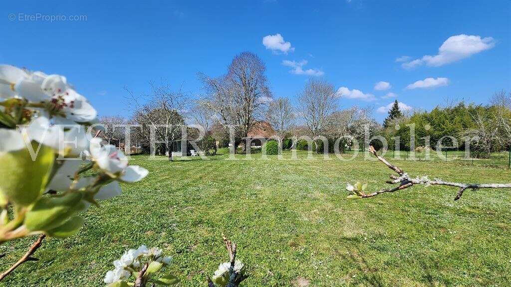 Maison à SAINT-LAURENT-DES-HOMMES