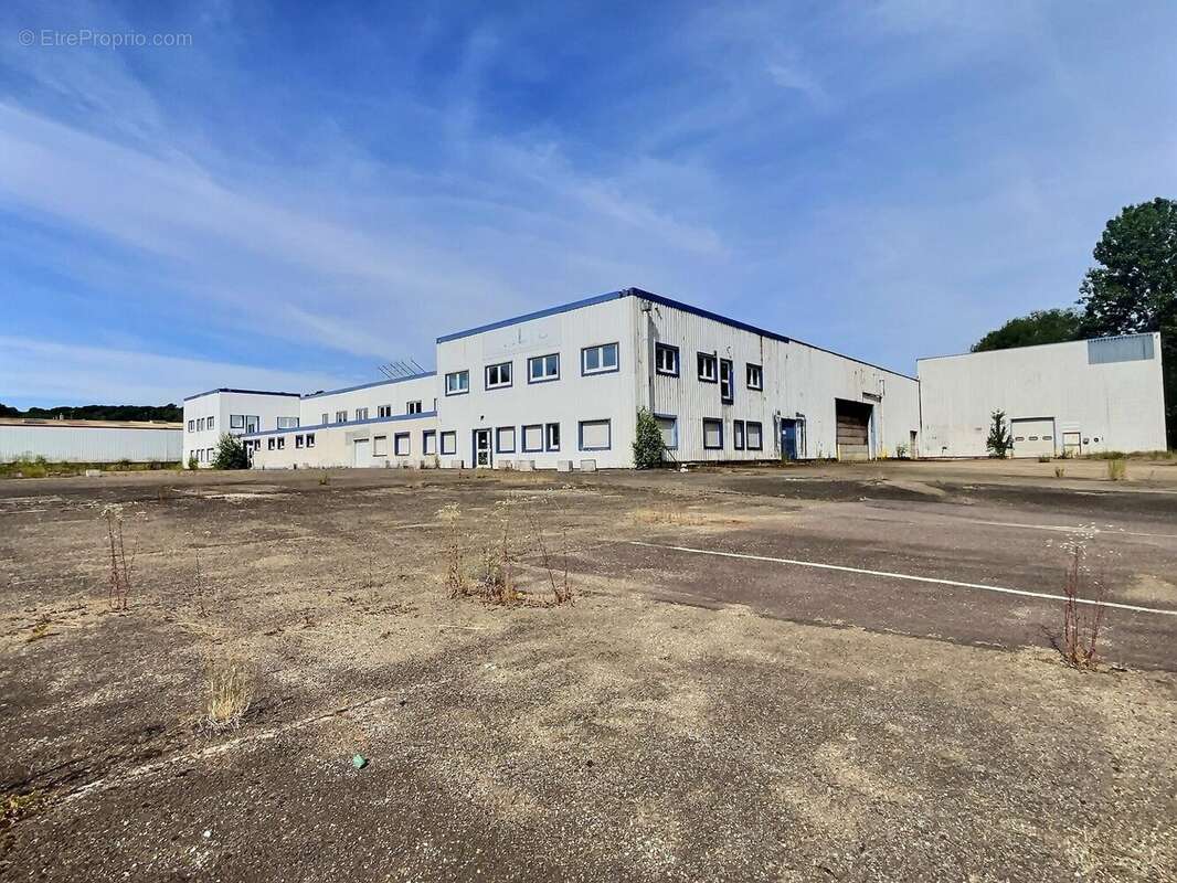 Commerce 6778 m² à Betting  - photo 3