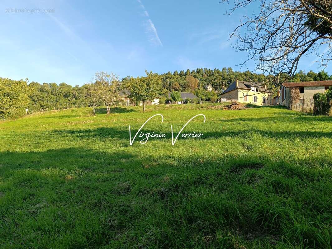 Terrain à PERPEZAC-LE-BLANC