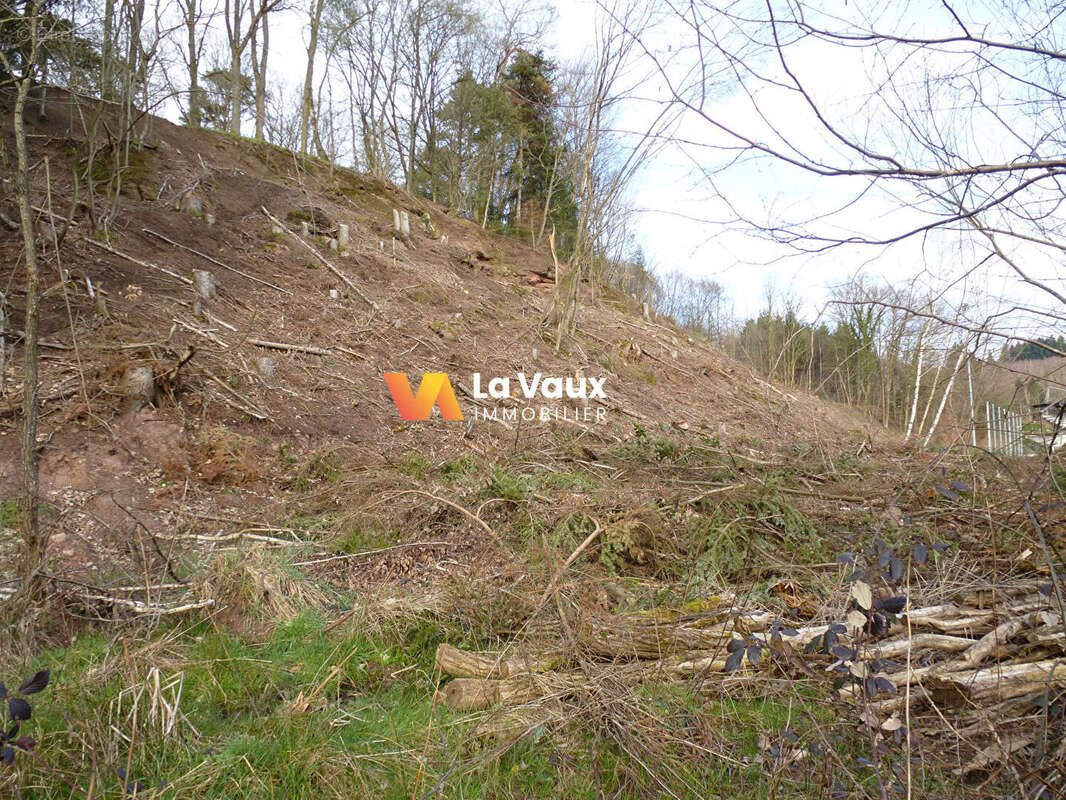 Terrain à RAON-L'ETAPE