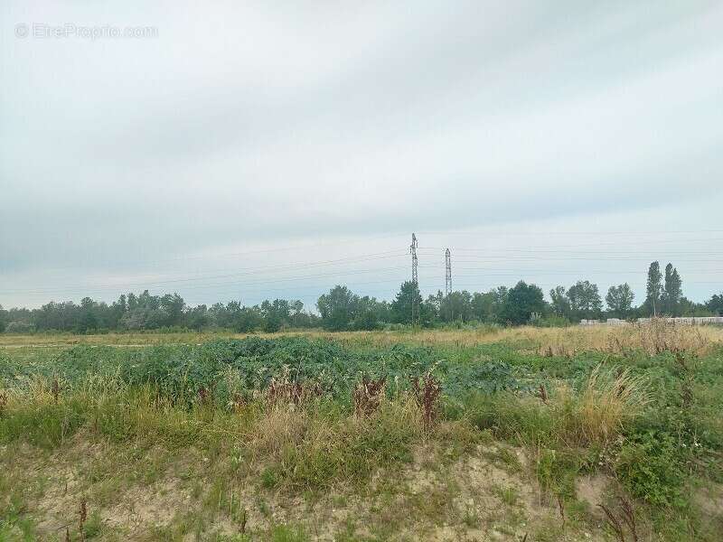 Terrain 5000 m² à Muret  - photo 21