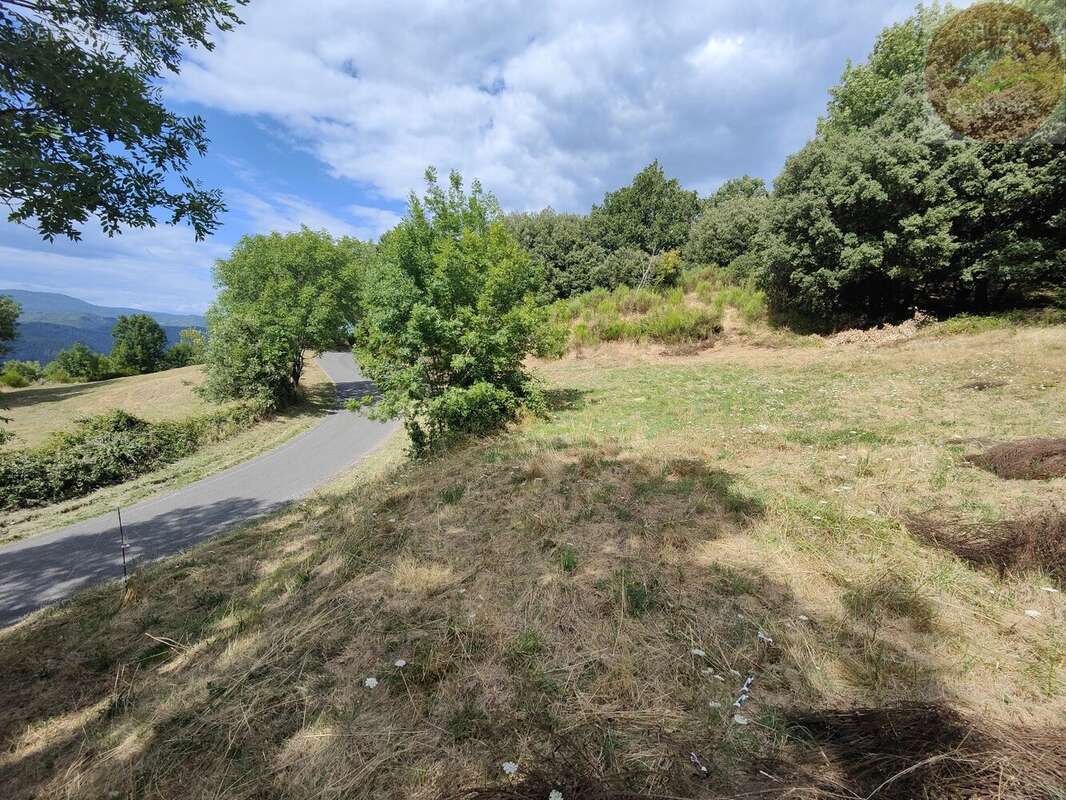 Terrain constructible de 2553m² en Cévennes Vallée Française - photo 10