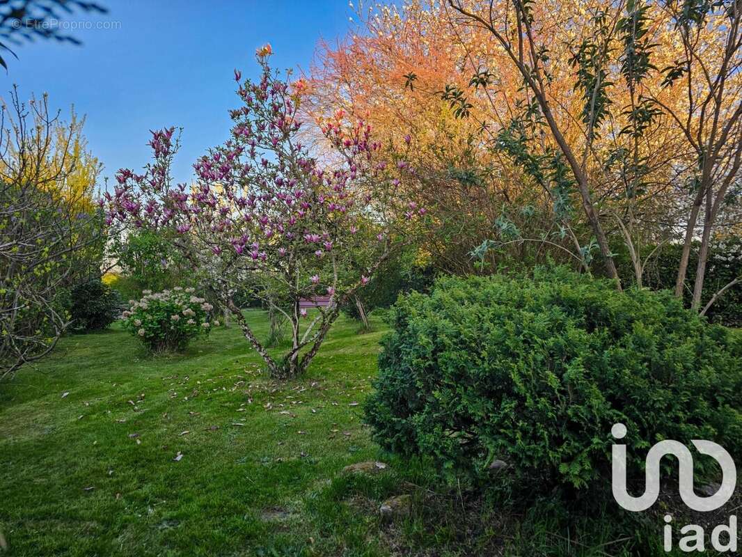 Photo 3 - Maison à ORADOUR-SUR-VAYRES