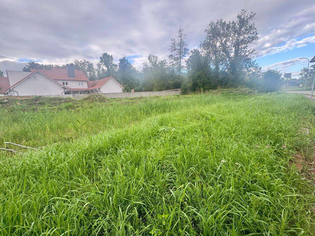 Terrain à KRAUTWILLER