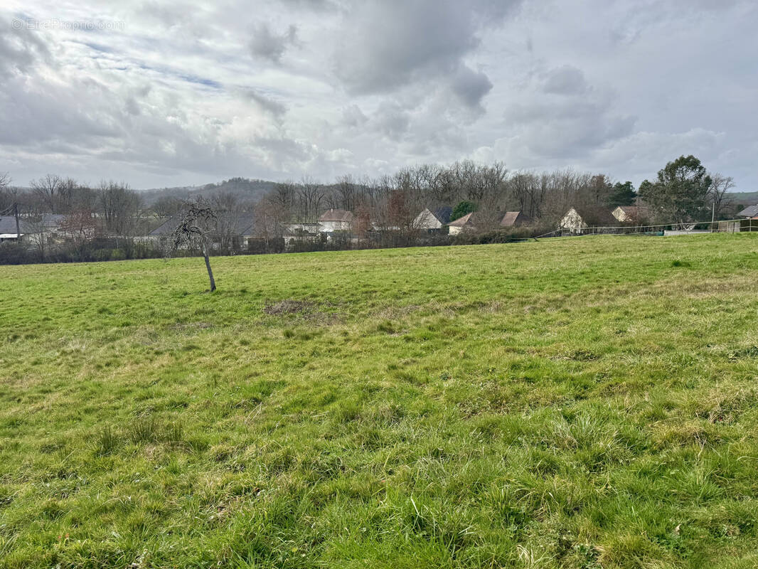 Terrain à SAINT-VIANCE