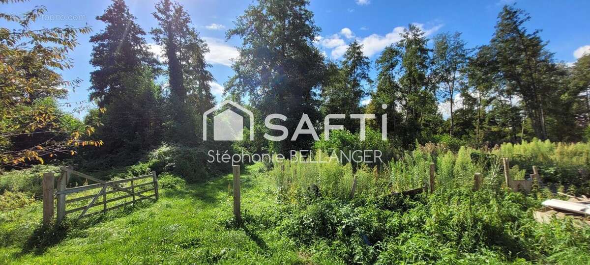 Photo 4 - Maison à SAINT-JEAN-DU-BOIS