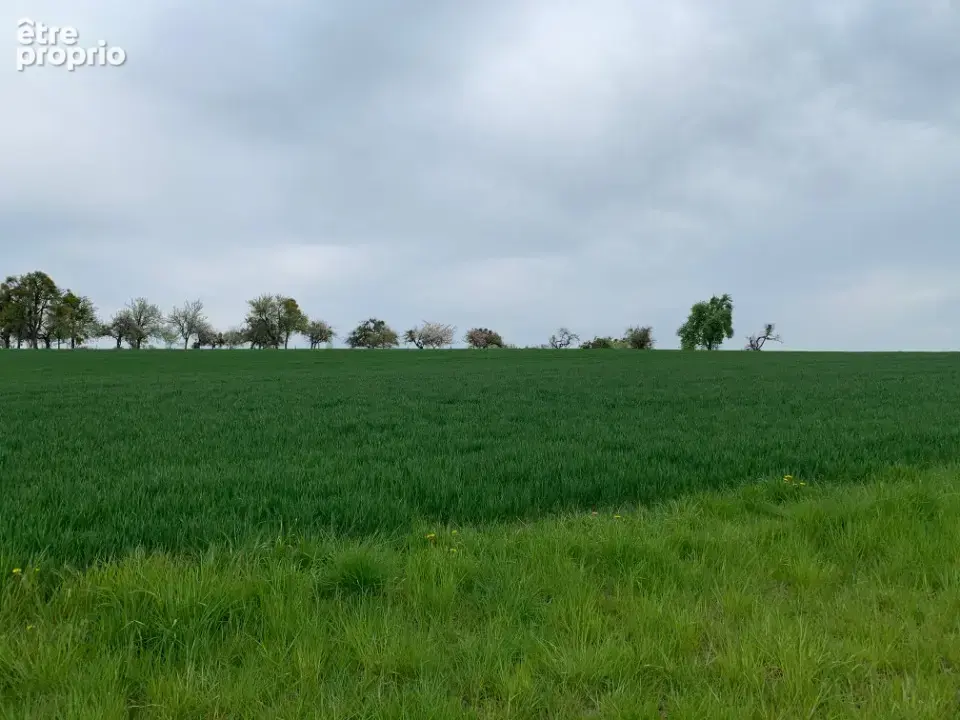 Terrain 498 m² à Waldwisse  - photo 5