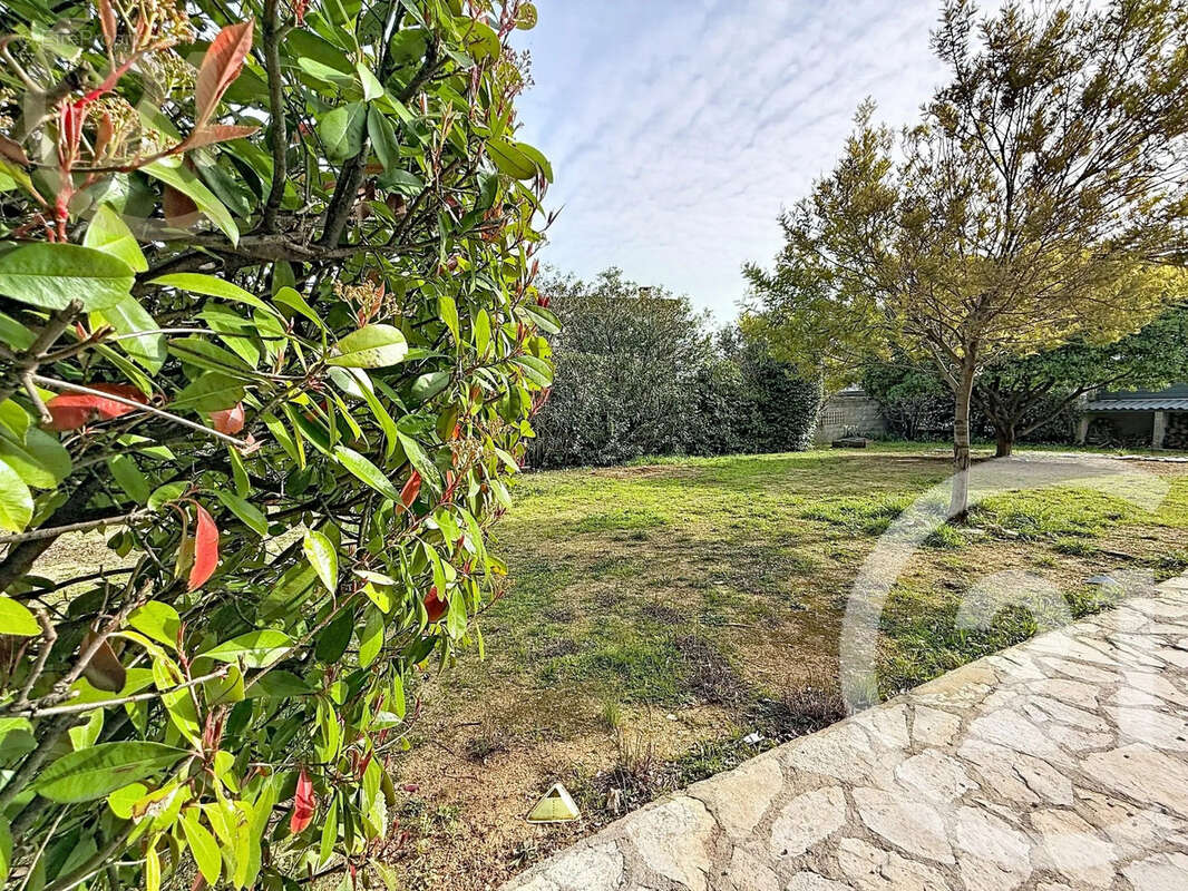 Maison à VILLENEUVE-LES-MAGUELONE