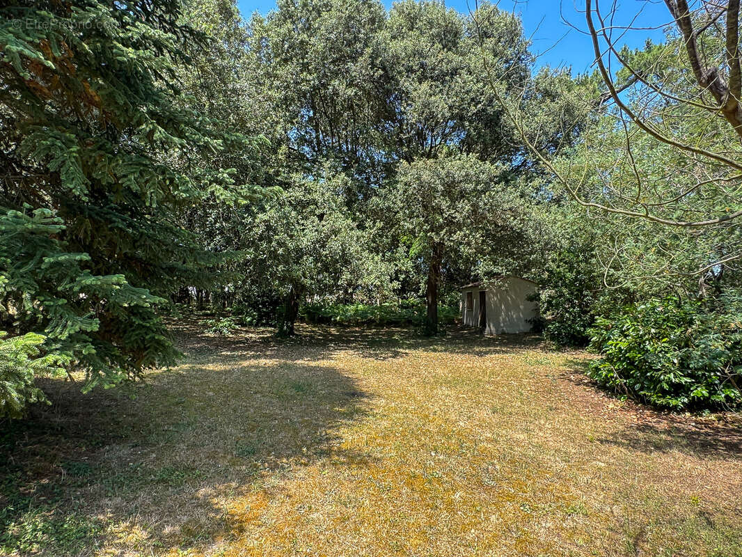 Terrain 1500 m² à Saint-Palais-Sur-Mer  - photo 2