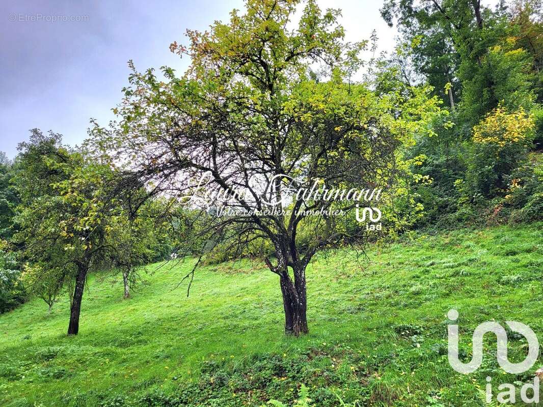 Photo 6 - Maison à FRELAND