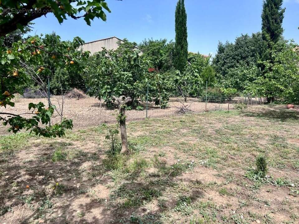 Terrain à CHATEAUNEUF-LES-MARTIGUES