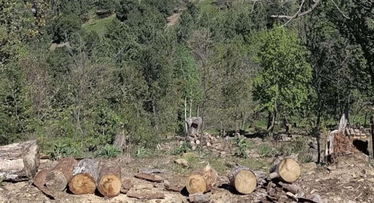 Terrain à MALBOSC