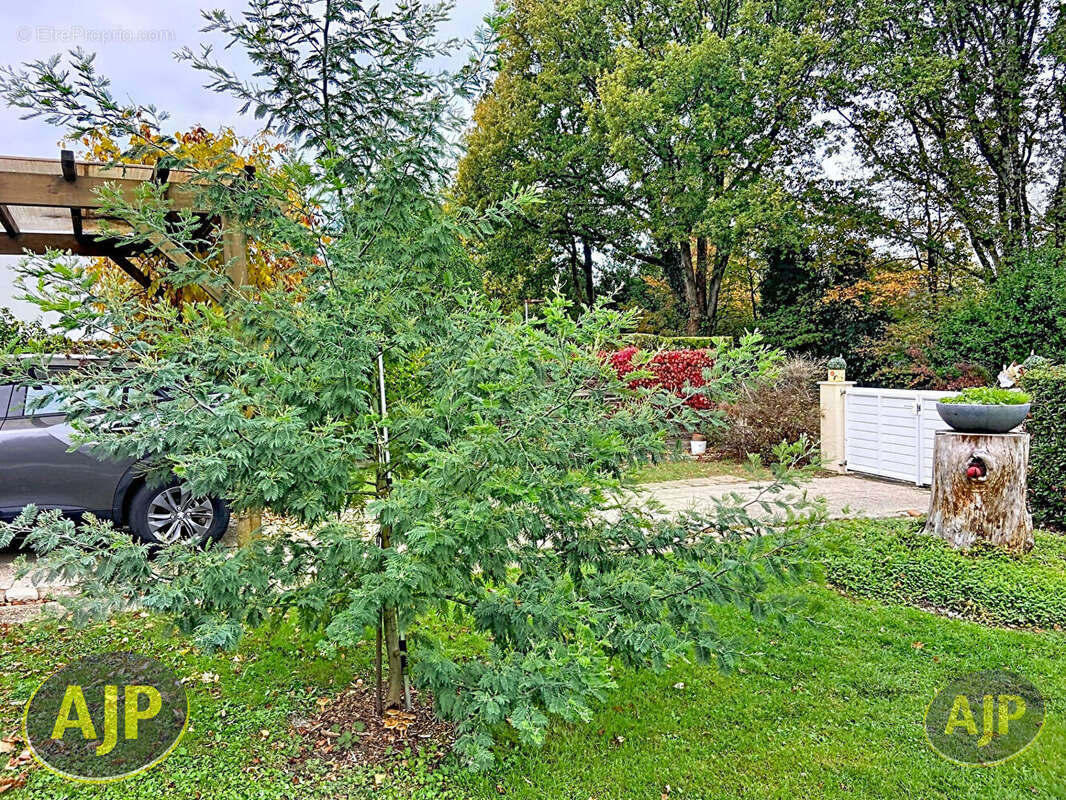 Maison à SUCE-SUR-ERDRE