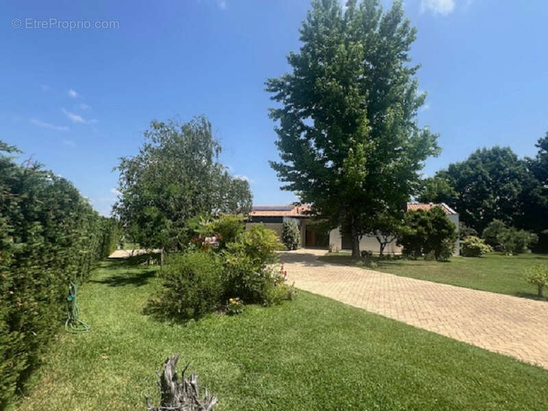 Aiguillon Maison d'architecte - photo 11