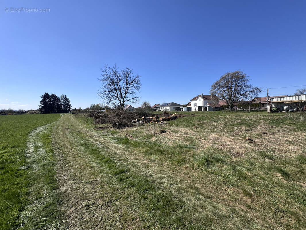Terrain à FROIDECONCHE