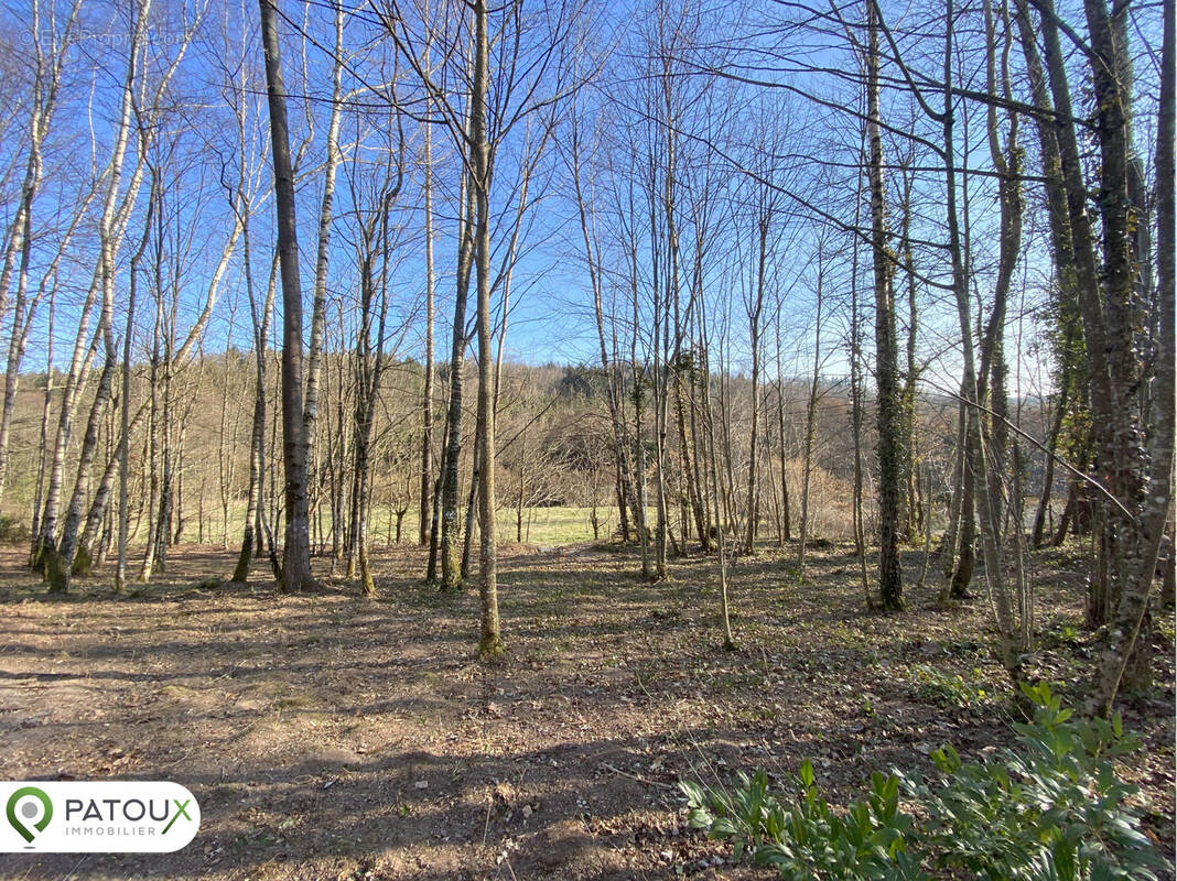 Terrain à BADONVILLER
