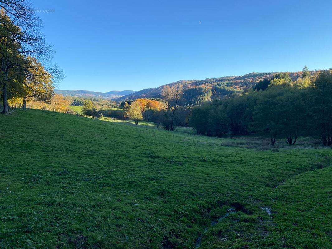 Corps de ferme 6 pièce(s) 350 m2 environ + terrain 27ha avec sources + dépendances - photo 13